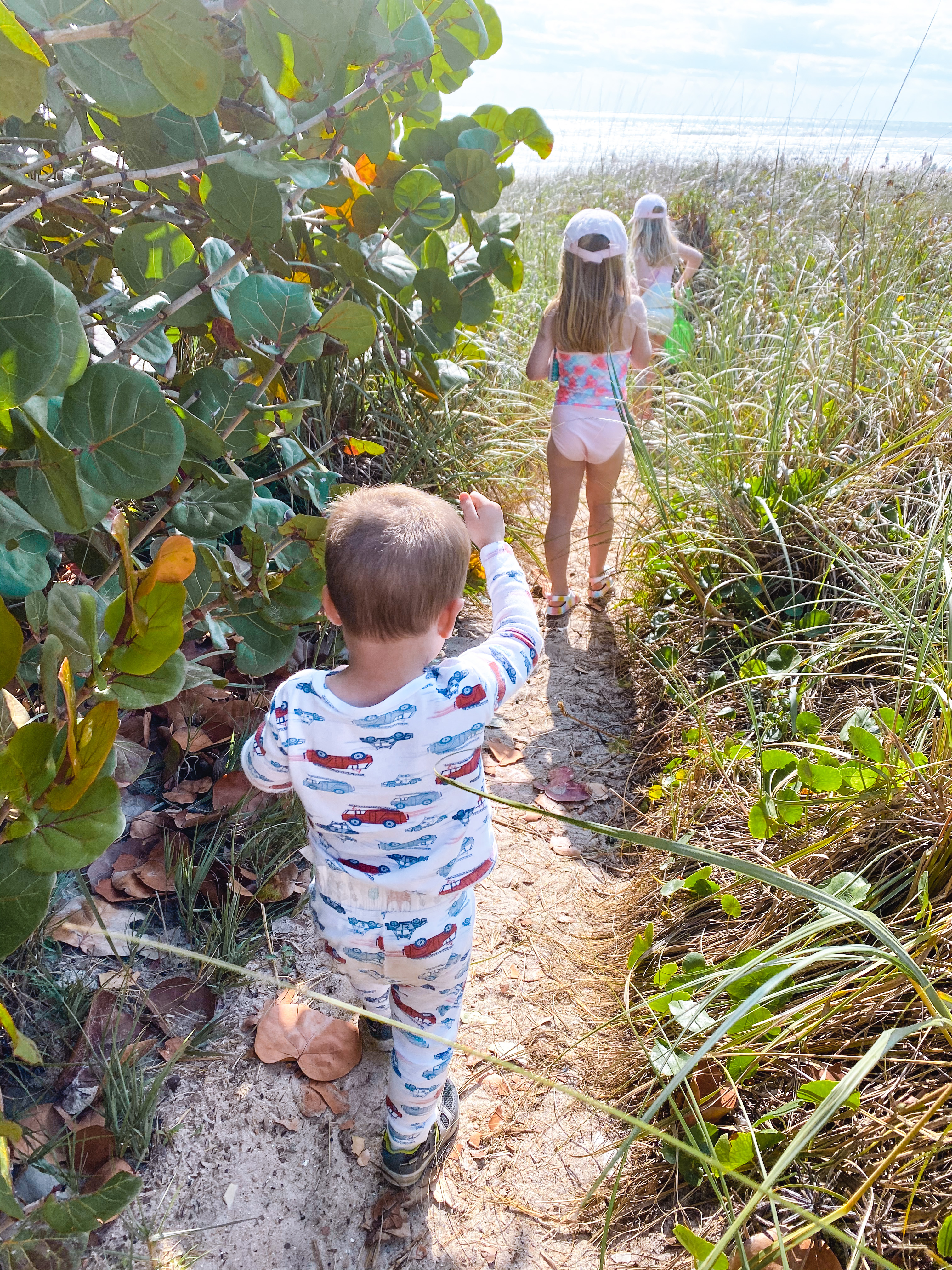 walkway to beach Coral Sands